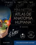 MINI-NETTER.  ATLAS DE ANATOMIA HUMANA